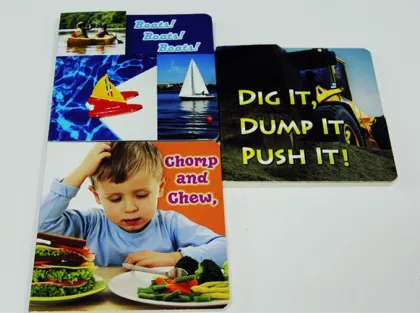 Children Learn board book