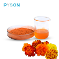 Natural Marigold Flower Extract