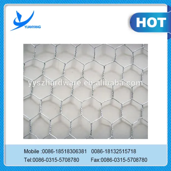Hot Galvanzied hexagonal wire netting