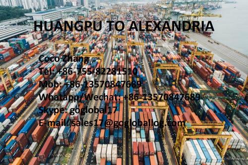 Guangzhou Huangpu Sea Freight en Egypte Alexandrie