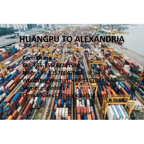 Guangzhou Huangpu Sea Freight to Egypt Alexandria