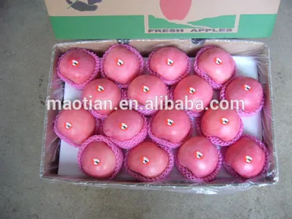 Fruit Apple rich of Vitamin C