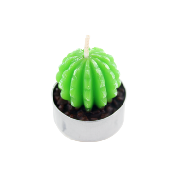 Paraffin Wax Decoration Cactus Candle Set Factory