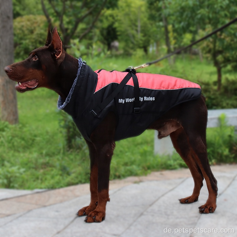 Hundeverstellbares Gurt Schöne, weich atmungsable Hundekabelbaum