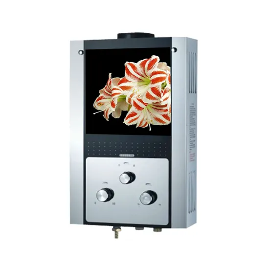 Stainless Steel Propane Tankless Gas Hot Water Heater