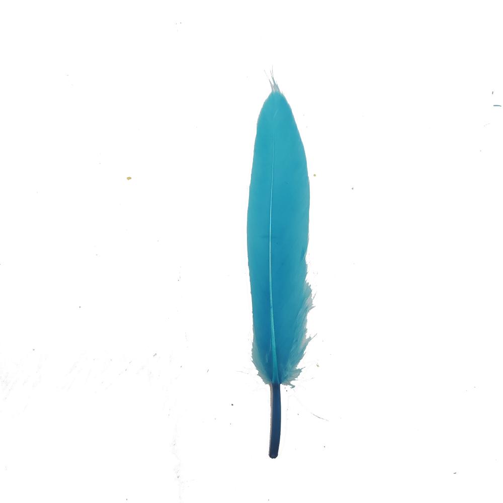 Watery Blue Feather