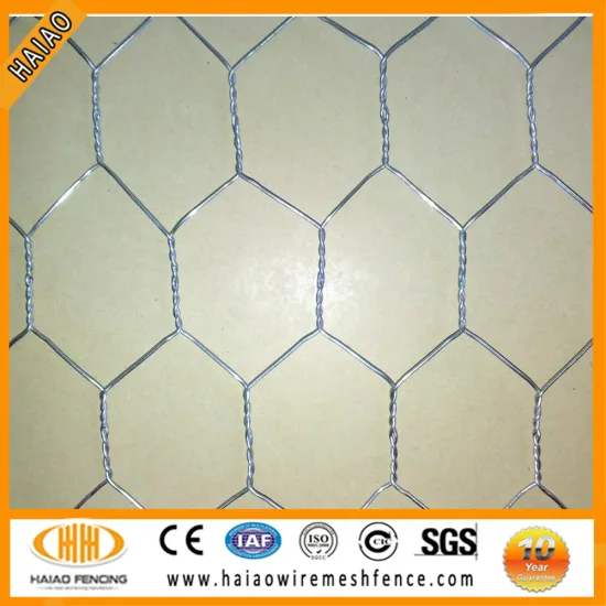 China supplier professional hexagonal wire netting/galvanized hexagonal wire mesh