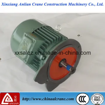 Yez Three Phase Concial Rotor Induction Motor for The Crane Building Application