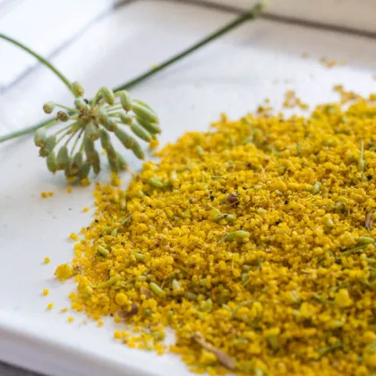 2018 Lotus tea rape bee pollen with reasonable price