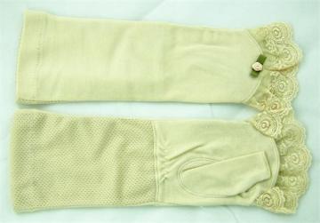 Lady Fashion Gloves & Sleeves (JYG-25015)