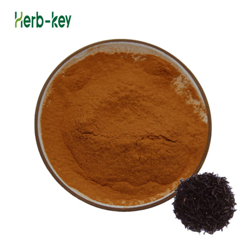 Black tea powder Instant black tea extract powder