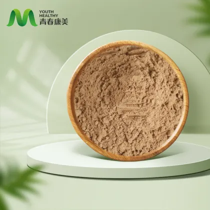 Chaga Mushroom Extract Powder Kilo