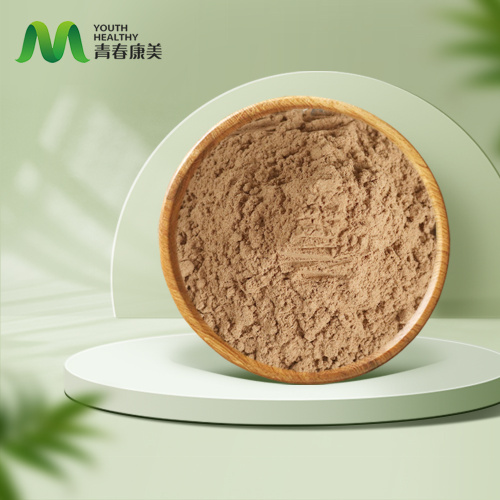 Цхага гљива Екстракт прашка кила