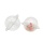 Transparent bath bomb mold plastic clamshell