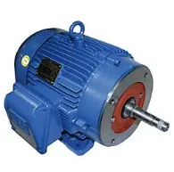 WEG Motor