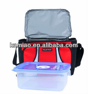 Fancy Insulated Wine Picnic Lunch Cooler Bag