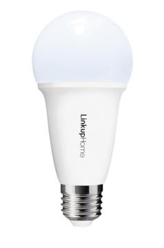 Lampadina intelligente con luce fredda e calda
