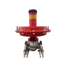High Sealing Self-operated Nitrogen Relief Valve