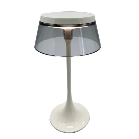 Multi-Color Touch Desk Lamp: Charging Nightlight for Bedroom and Office