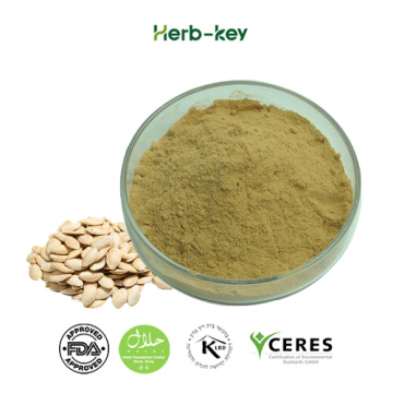 Pumpkin seed extract powder with 60% protein