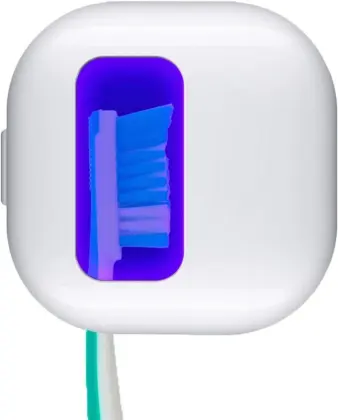 Toothbrush sterilizer