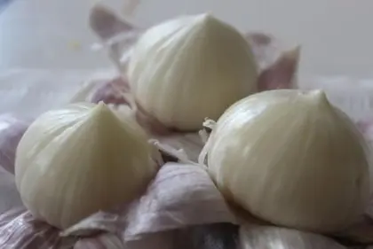 Fresh Solo Garlic Basket