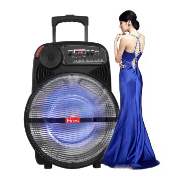 15 Inch Woofer Portable Karaoke Trolley Speaker with Super Bass