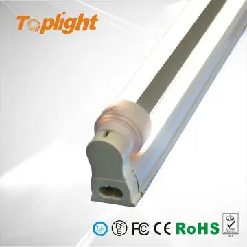 8ft LED Tubo