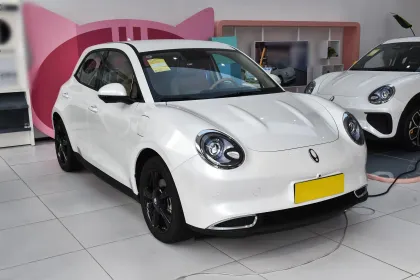 Used Car Prices for Great Wall Motor Euler Good Cat 2024 401km Comfort Model