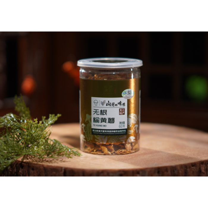 Cogumelos Amarelos Secos de Olmo