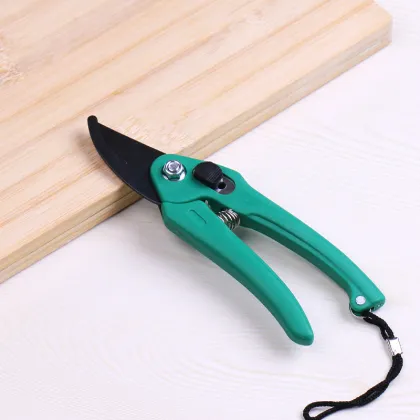 garden fruit tree bypass pruning shears