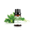 100% Pure Natural Parsley Essential Oil for Aromatherapy