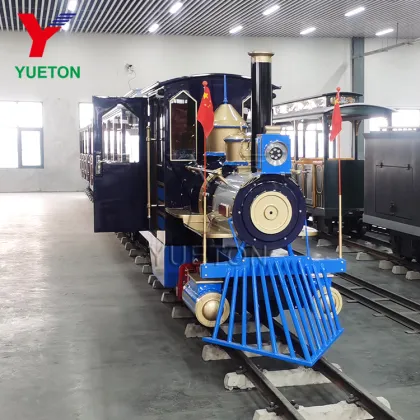 Carnival Ride: Electric Choo Choo Train for Outdoor Playgrounds