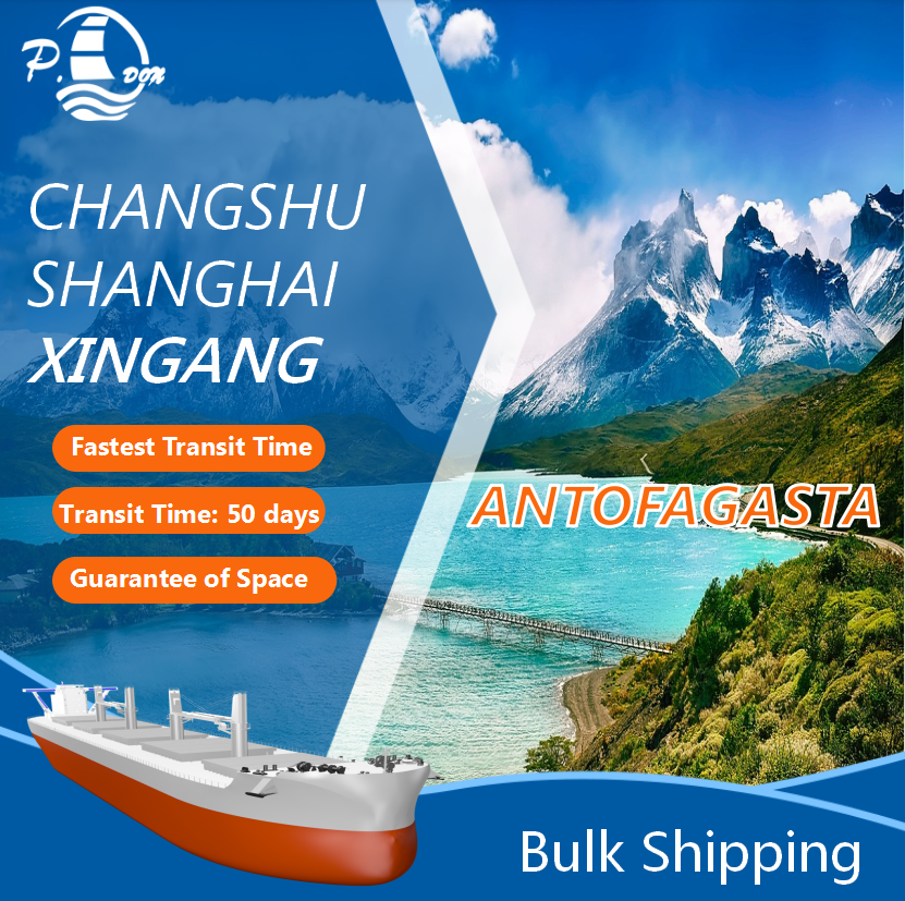 Bulk Shipping From Shanghai To Antofagasta