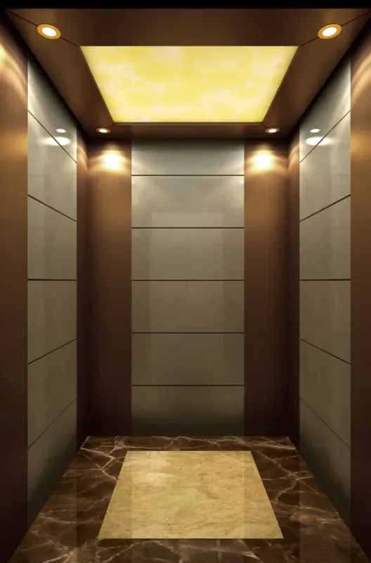 Sydney 800kg 1.75m/s Passenger House Panoramic Cargo Residential Elevator