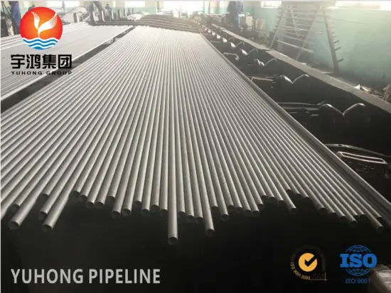 ASTM A213 TP304L 316L SS SMLS Tube