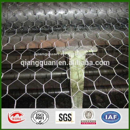 Aviary fence 50mm holes, steel mesh fence , hexagonal mesh fencing Factory