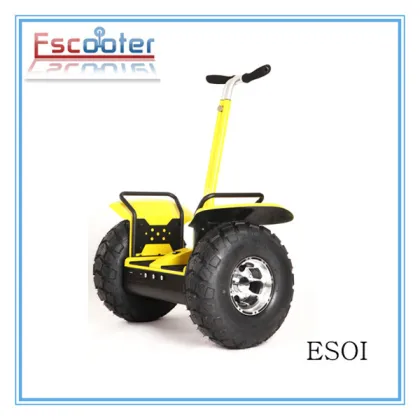 Electric Powered Two Wheeled Vehicle with CE