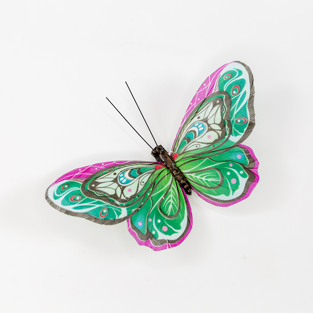 Butterfly craft cut out