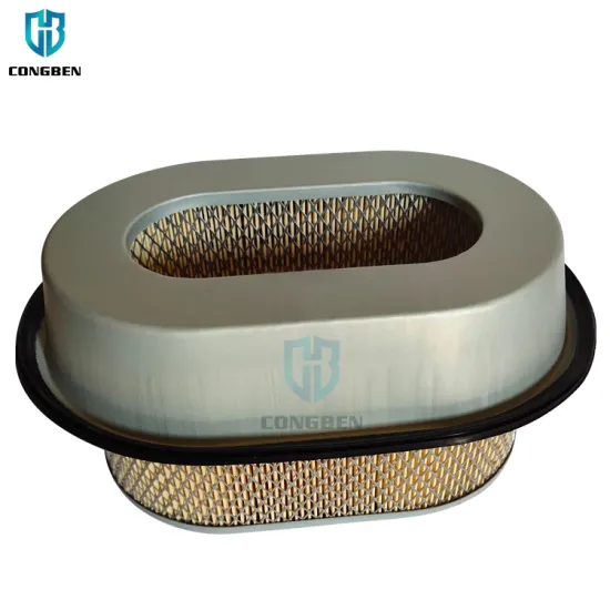 China Professional Wholesale MR204842 Air Filter for Mitsubishi L400 Mini Bus