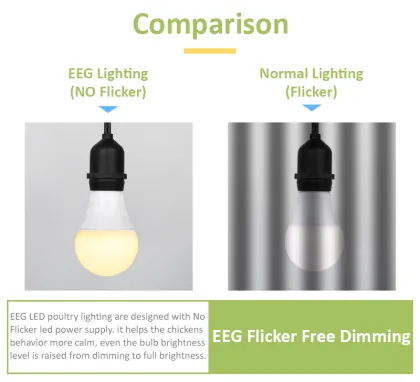 Agrieso Poultry Farm LED Bulb Light System