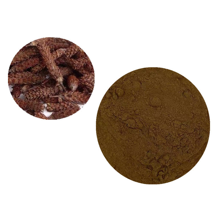 Alchemilla Vulgaris Extract Sale