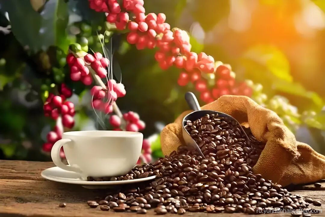 Зеленая фасоль Хали Арабика