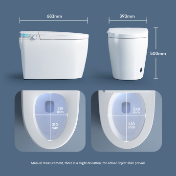 OEM Floor Mounted Auto Flush Bidet Toilet