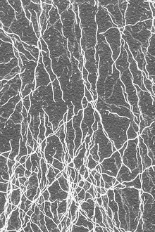 Brikley High pressure laminate wilsonart sheet HPL/provide processing services