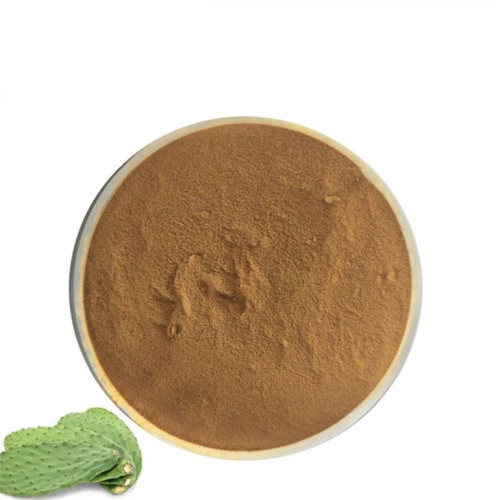 Natural Cactus Extract powder