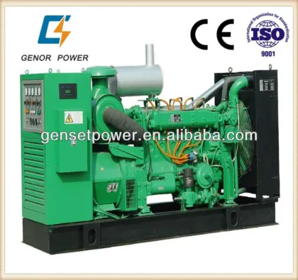 Natural Gas Generator MW