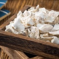 Oyster Shell for Calming Herbal Use