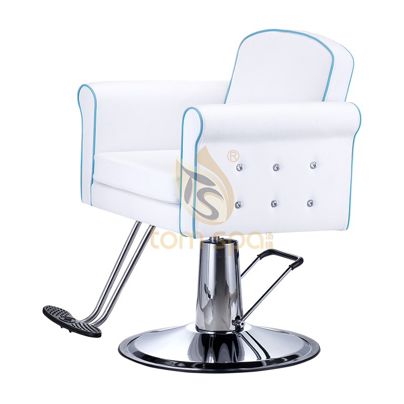 Blue Border Line Styling Chair