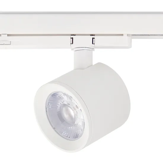 RONSE 2020 Hotsale: Commercial Spot Light Design - Cob 20w/30w Track Light